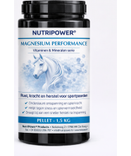 Magnesium