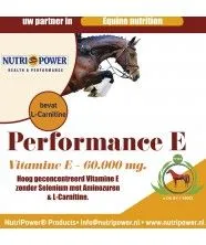 Performance E