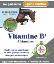 Vitamine B1 - Thiamine