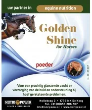 GoldenShine for Horses