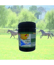 Yea Sacc probioticum